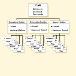 Legit Walmart Chain Of Command Chart