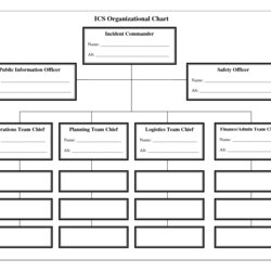 Fine Chain Of Command Diagram Template Organizational Chart