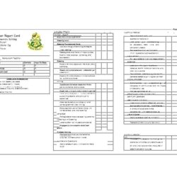 High School Student Report Card Template Templates Example