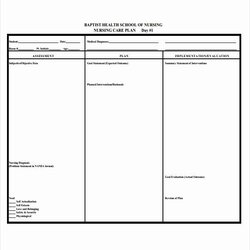 Smashing Free Nursing Care Plans Unique Plan Templates Blank