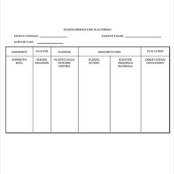 Preeminent Free Printable Blank Nursing Care Plan Org Master Of Documents Format Templates Template Sample
