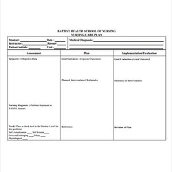 Excellent Nursing Care Plan Sample Template Student