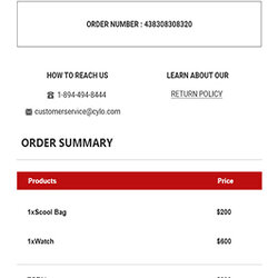 The Highest Standard Order Confirmation Email Template For Your Store