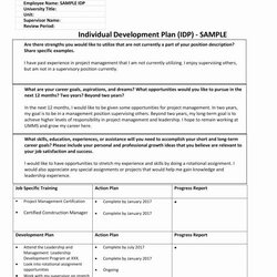 Very Good Individual Development Plan Template How To