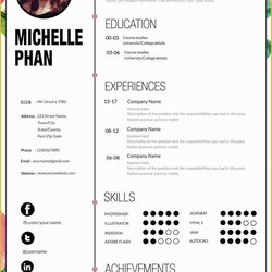The Highest Standard Curriculum Templates Free Of Designer Template Resume Format Examples Good Attractive