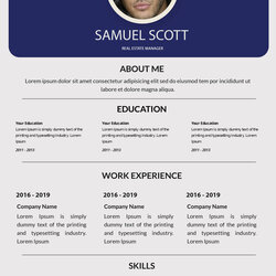 Eminent Free High Quality Professional Resume Templates Scaled