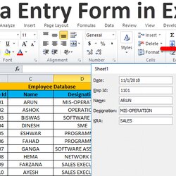 Matchless Excel Forms Examples How To Create Data Entry Form In Hrs Perfectly Order Tools