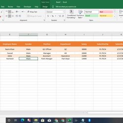 Data Entry Form In Excel Sheet Very Easy