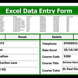 The Highest Standard Overview Of An Excel Data Entry Form Developed Using