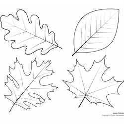 Out Of This World Blank Leaf Template With Lines Stupendous Inspirations