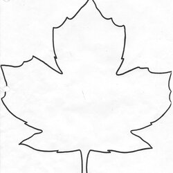 Perfect Blank Leaf Template With Lines Photo