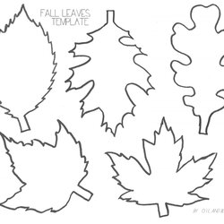 Spiffing Formidable Leaf Template With Lines Photo