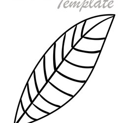 Eminent Free Printable Leaf Template Many Designs Are Available