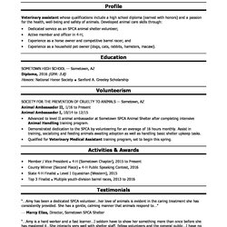 Matchless High School Resume Templates And Examples Template