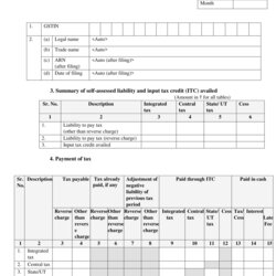Capital Payment Declaration Form Definition Format And Rules Filing Return