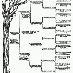 Wizard Family Tree Template