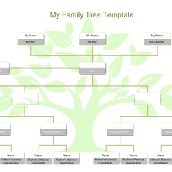 Splendid Editable Family Tree Templates Free Template