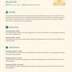 High Quality Basic Resume Free Professional Template