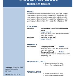 Champion Simple Resume Template Word Basic Sample Plain Blue