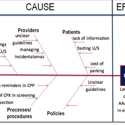 Excellent Clinical Process Map Ontario Cause Effect Diagram Example Quality Improvement And