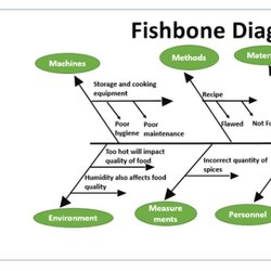 Fine Cause And Effect Diagrams For Project Management Academy Resources