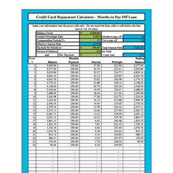 The Highest Quality Credit Card Payment Spreadsheet Template Payoff