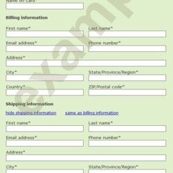 Out Of This World Ready To Use Credit Card Payment Form Shipping Billing Info Forms