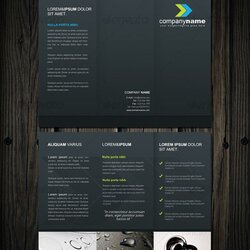 Splendid Professional Fold Brochure Layout Corporate