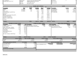 The Highest Standard Free Pay Stub Templates Excel Word Template