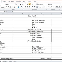 Sterling Excel Template Professional Employee Pay Stub Free Download