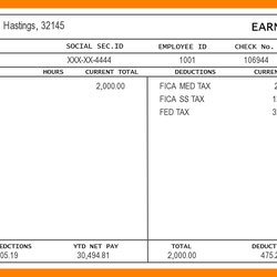 Superior Printable Pay Stub Templates In Word Format Template Check Stubs Employee Excel Editable Sample