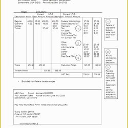 Magnificent Free Editable Pay Stub Template Of Templates Downloads Excel Stubs Paycheck Word Doc