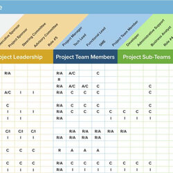 Project Management Forms Free Download Template Dashboard Excel Regarding