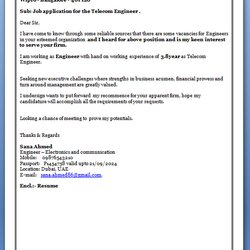 Magnificent Email Job Application Cover Letter Example Vendor Registration Sample Writing Format Letters