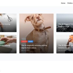 Champion Free Simple Website Template For Professional Websites Templates Bootstrap