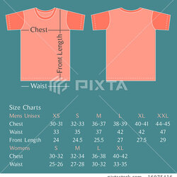 Superb Vector Blank Shirt Design Template With Size Stock Illustration Charts Woman Man