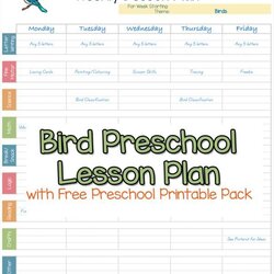 Matchless Art Lesson Plans Template Check More At Preschool Plan Printable Birds Worksheets Bird