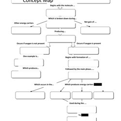 Legit Concept Map Templates Hierarchical Spider Flowchart Template Printable Blank Mapping Democracy