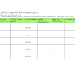 Out Of This World Example Personal Development Plan In Word And Formats Professional Training
