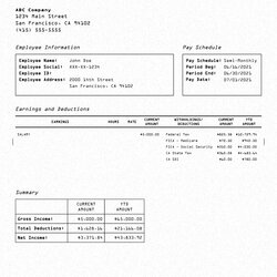 Cool Pay Stub Template Fill In Professional