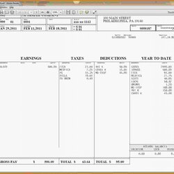 Great Pay Stub Template Free Business Check Excel Stubs Paycheck Word Printable Templates Hourly Wage