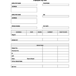 Capital Great Pay Stub Paycheck Templates Payroll Driver Template