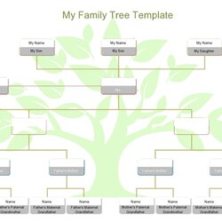 Perfect Best Free Family Tree Microsoft Word Templates To Download Tuts Divided Washed Template