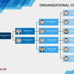 Microsoft Office Organization Chart Template Sensational Organizational Example