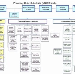 Capital Ms Office Organization Chart Template Letter Example Word Org