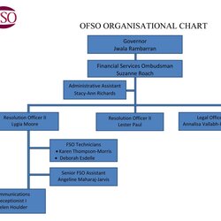 Cool Unique Microsoft Organization Chart Templates