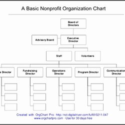 Peerless Office Org Chart Template Microsoft Organizational Templates Awesome Of