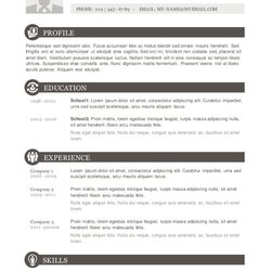 Fantastic Resume Template