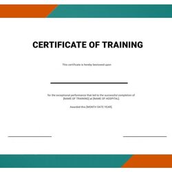 Superlative Training Certificate Template Free Word And Excel Templates Design