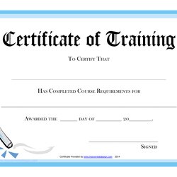 Certificate Of Training Template Blue Download Printable Print Big